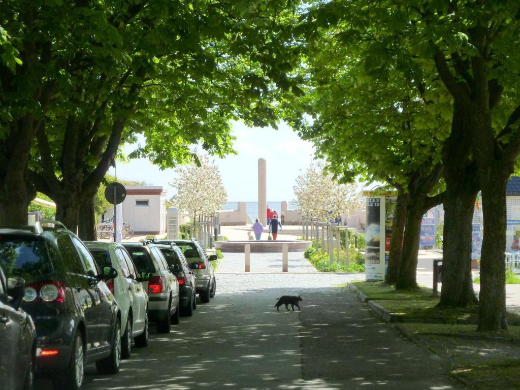 Strandhotel Villa Louisa & Appartementhaeuser Villa Josephine Und Villa Christine 줄리우스루 외부 사진